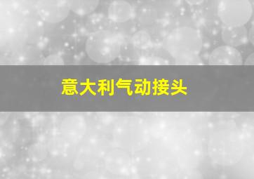 意大利气动接头