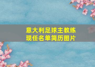 意大利足球主教练现任名单简历图片