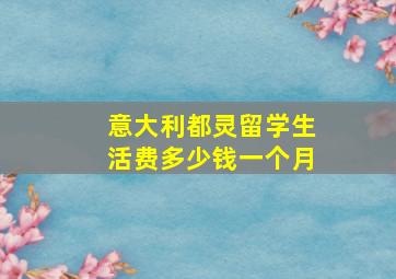 意大利都灵留学生活费多少钱一个月