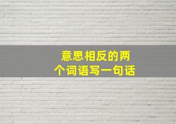 意思相反的两个词语写一句话