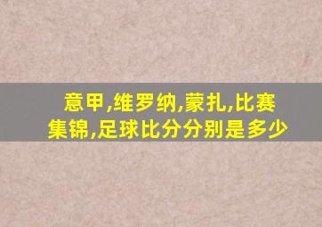 意甲,维罗纳,蒙扎,比赛集锦,足球比分分别是多少