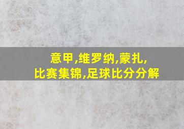 意甲,维罗纳,蒙扎,比赛集锦,足球比分分解