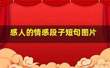 感人的情感段子短句图片