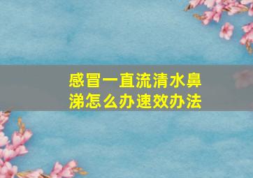 感冒一直流清水鼻涕怎么办速效办法