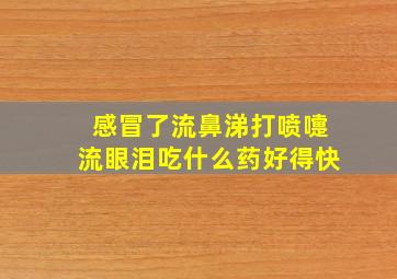 感冒了流鼻涕打喷嚏流眼泪吃什么药好得快