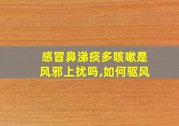 感冒鼻涕痰多咳嗽是风邪上扰吗,如何驱风