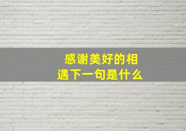 感谢美好的相遇下一句是什么