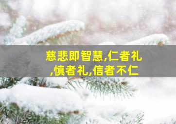 慈悲即智慧,仁者礼,慎者礼,信者不仁