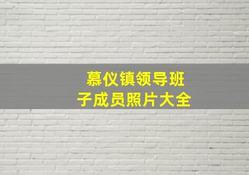 慕仪镇领导班子成员照片大全