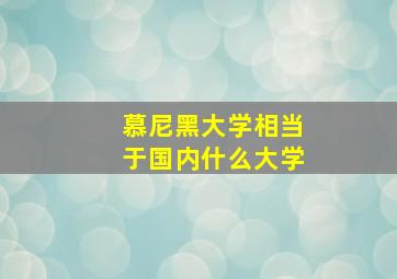 慕尼黑大学相当于国内什么大学