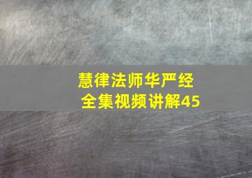 慧律法师华严经全集视频讲解45