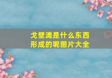 戈壁滩是什么东西形成的呢图片大全