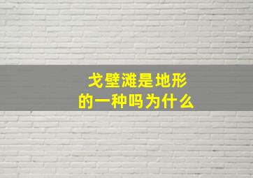 戈壁滩是地形的一种吗为什么