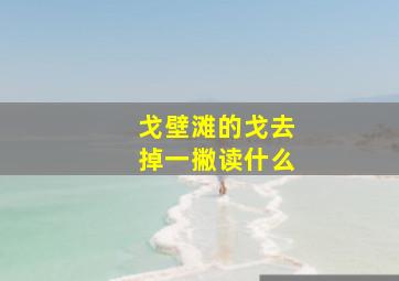 戈壁滩的戈去掉一撇读什么