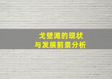 戈壁滩的现状与发展前景分析