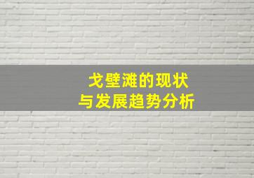 戈壁滩的现状与发展趋势分析