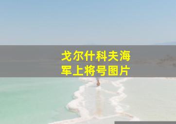 戈尔什科夫海军上将号图片