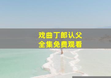 戏曲丁郎认父全集免费观看