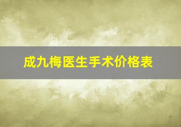 成九梅医生手术价格表