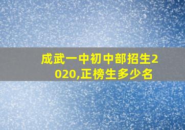 成武一中初中部招生2020,正榜生多少名