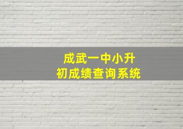 成武一中小升初成绩查询系统