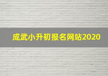 成武小升初报名网站2020