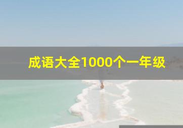 成语大全1000个一年级