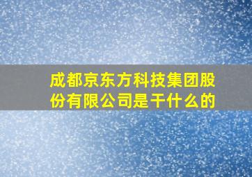 成都京东方科技集团股份有限公司是干什么的