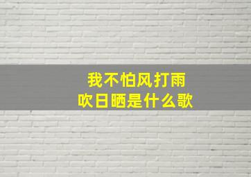 我不怕风打雨吹日晒是什么歌