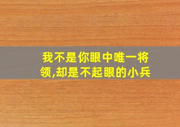 我不是你眼中唯一将领,却是不起眼的小兵