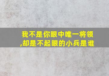 我不是你眼中唯一将领,却是不起眼的小兵是谁