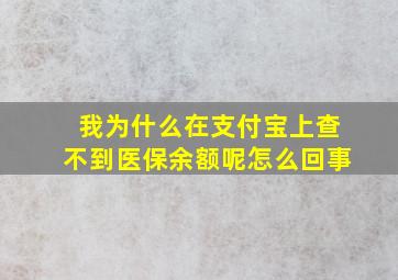 我为什么在支付宝上查不到医保余额呢怎么回事