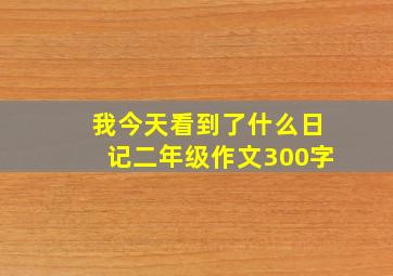 我今天看到了什么日记二年级作文300字