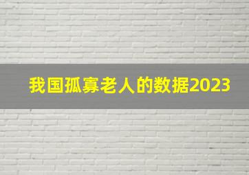 我国孤寡老人的数据2023