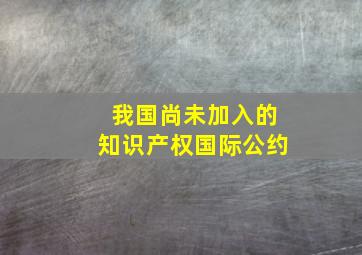 我国尚未加入的知识产权国际公约