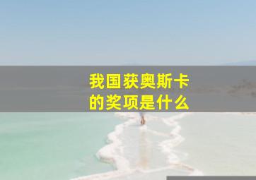 我国获奥斯卡的奖项是什么