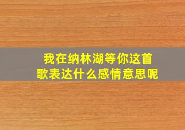 我在纳林湖等你这首歌表达什么感情意思呢