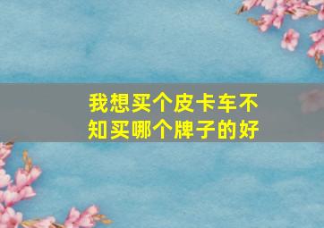 我想买个皮卡车不知买哪个牌子的好