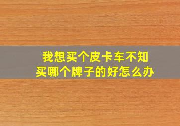 我想买个皮卡车不知买哪个牌子的好怎么办