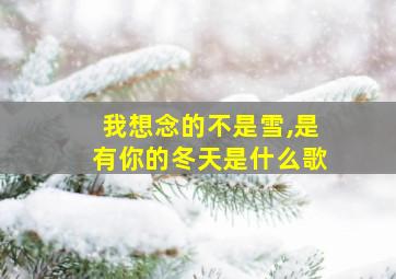 我想念的不是雪,是有你的冬天是什么歌