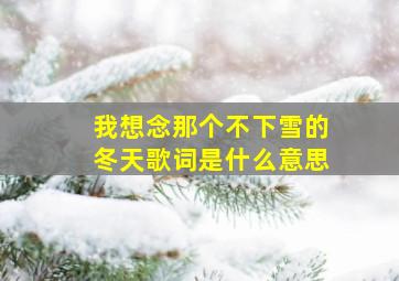 我想念那个不下雪的冬天歌词是什么意思