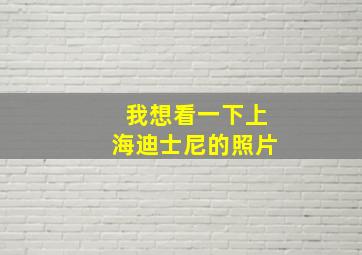 我想看一下上海迪士尼的照片