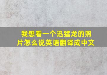 我想看一个迅猛龙的照片怎么说英语翻译成中文