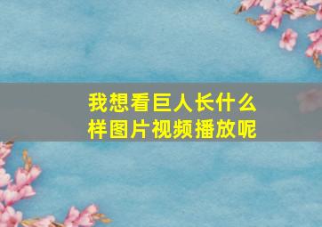 我想看巨人长什么样图片视频播放呢