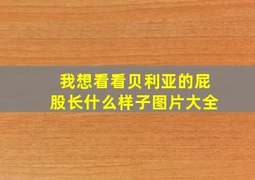 我想看看贝利亚的屁股长什么样子图片大全