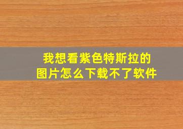 我想看紫色特斯拉的图片怎么下载不了软件