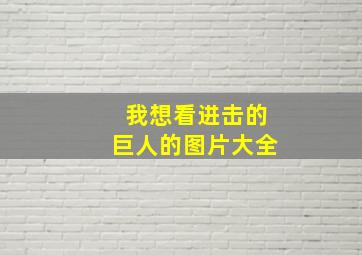 我想看进击的巨人的图片大全