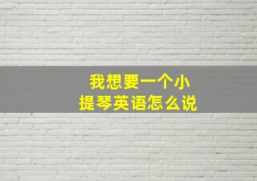 我想要一个小提琴英语怎么说