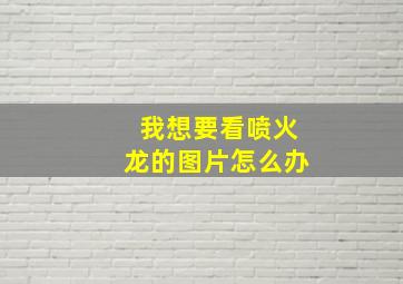 我想要看喷火龙的图片怎么办