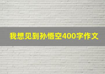 我想见到孙悟空400字作文